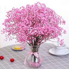 滿天星乾燥花束 永生花 客廳裝飾擺件 生日禮物 送女友 北歐ins風 家居裝飾 天然花材 無需澆水 teddy6, 粉色滿天星-不含瓶【店主推薦】