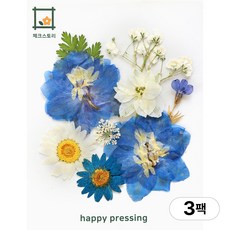 체크스토리 압화 컬러가든시리즈 누름꽃 꽃송이 압화재료 공예, 제비꽃블루10(3팩), 블루