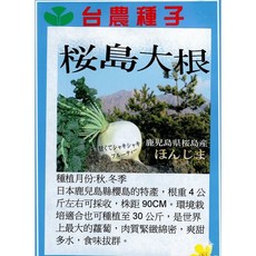 櫻島大根種子 鹿兒島縣櫻島產 大型蘿蔔可達20~30公斤, 1包