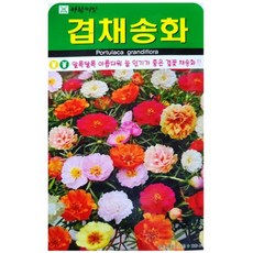 영농사 {아람 겹채송화 씨앗 1000립} 겹채송화씨, 4개