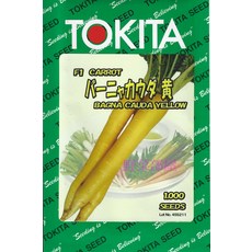 TOKITA F1 胡蘿蔔種子 巴尼亞考達黃 1000顆, 1包