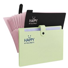 배로나 편리한 똑딱이 파일케이스 수납력 12칸, 2개, 그린블랙