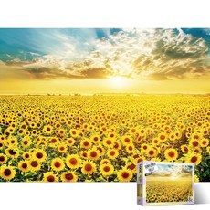 해바라기들판7 풍경 알록 1000피스 직소퍼즐액자 AL3010, 퍼즐만, 1개