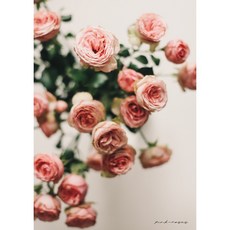 식물 플랜테리어 감각있는 인테리어 사진 포토 액자 홈인테리어 방꾸미기 카페 포스터 A2 A3 A4 01, 04