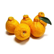 알맹이 톡톡 한라봉, 1박스, 3kg, 3kg(7-10수)