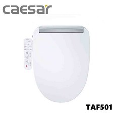 凱撒衛浴瞬熱式溫水洗淨便座 烘乾功能 觸媒除臭 免治馬桶, TAF501, 單純送貨商品
