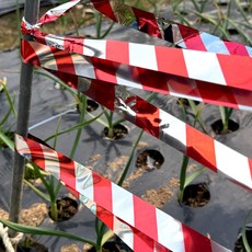 안전표시 반사 테이프 2.5cm 100m