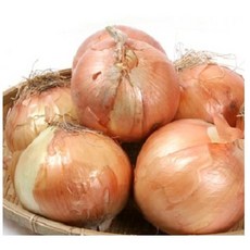 품질엄선 26년 국내산 햇양파, 5kg(중품), 1개