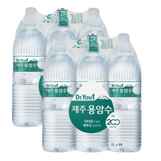 오리온 닥터유 제주용암수, 2L, 1개