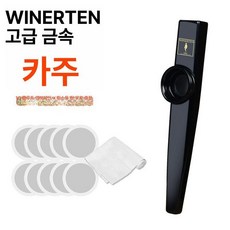 프리미엄 금속 기타 하모니카 입문용 악기, 1개, 2_업그레이드에디션 블랙 10개 포함