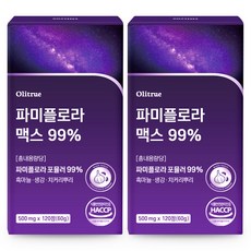 대용량 파미 플로라 99% 흑마늘 생강 HACCP인증, 2개, 120정