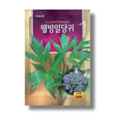 웰빙일당귀 200립 미래종묘 민속특수 씨앗, 1개