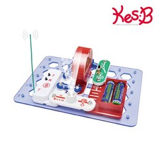 [캐스B] 데콤포 네이처 척척 박사 전기회로 FM라디오(2169), 1개