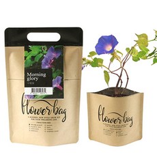 NEW 플라워백 - 나팔꽃/화분키우기 꽃심기 씨앗심기 재배세트, 1개
