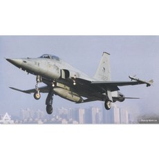 No70/대한민국공군 KF-5E 비행기조립 1/144스케일