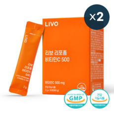 리보 리포좀 비타민C 500 분말 식약처인증, 2개, 60g