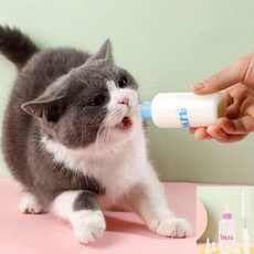 꿈꾸는비 젖병 세트 60ml 강아지젖병, 60ml 색상 랜덤