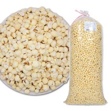 웰링스 우리식품 업소용 대용량 뻥튀기 박스포장 팝콘옥수수3.8kg, 1개, 3.8kg