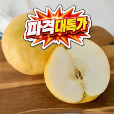 [100박스한정 초초특가] 나주 신고배 꿀당도 산지직송, 1박스, 나주 배(신고) 특품 7.5kg (11-13과)
