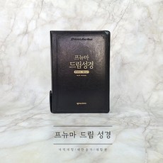 프뉴마 드림성경 대합본 블랙