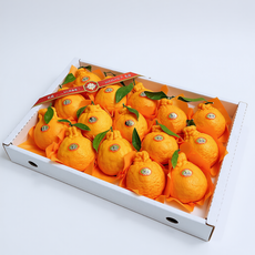 청정제주 고당도 한라봉 제철과일 과일선물 가정용 선물용 3kg 5kg, 1개