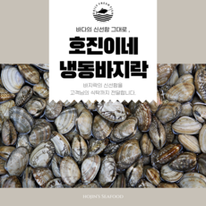 냉동 바지락 피바지락 급냉 세척 1kg~5kg, 1kg