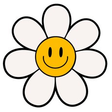 위드코코 DIY 캐리어 꾸미기 리무버블 방수 스티커 (거울 유리 창문 벽 욕실 타일 부착가능), 빅데이지, 1개