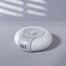 고양이 탈취기 반려묘 탈취 모래 냄새 제거 냄새방지, 무향, 1개, 1g