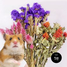 코스믹 마이크로웨이브 햄스터 꽃베딩-TYPE.1 3종 꽃다발, 1개