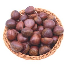 공주 정안 유기농 피밤 햇밤 깐밤 생밤 군밤용, 1kg (대)