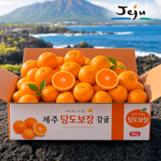[서귀포농장직판] 11brix 당도선별 귤 제주 감귤 초특가, 1박스, 고당도 감귤 3kg