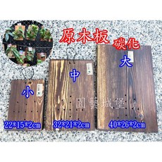 園藝城堡 原木碳化鹿角蕨上板 - 斜紋/直紋碳化木板多尺寸可選, 原色,小 (22*15*2cm), 1個