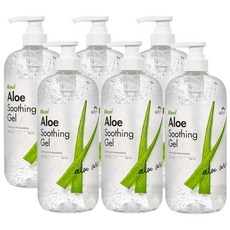 꽃을든남자 수분이 꽉 차 더 촉촉한 리얼 알로에 수딩젤 1000ml, 1L, 6개