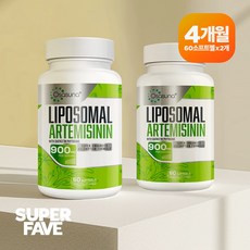 아르테미시닌 리포좀 퀘르세틴 피토솜 함유 900MG 60정 x2개 Osasuna, 2개