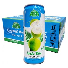T&A 코코넛워터 위드 나타드 코코, 24개, 325ml
