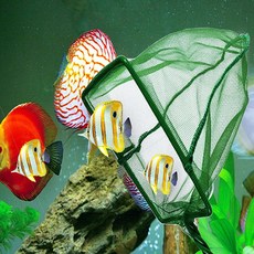 두두쇼핑몰샵 수조용 뜰채 이물질 새우뜰 제거