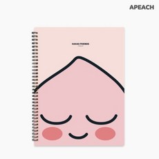 카카오프렌즈 10P 스프링화일 어피치, APEACH