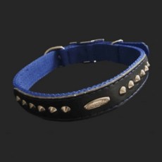 PP 개목줄 20mm 51cm 파랑 반려견목줄 강아지목줄 강아지줄 swg+1327ES