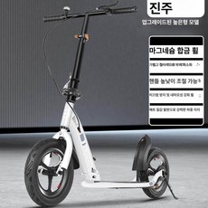 더즐리 수동킥보드 클래식 접이식 수동 성인 킥보드, 1개, 1cm, 펄 일체형 바퀴 높이형 바구니 포함