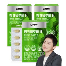 GNM 징코빌로바11 / 은행잎추출물 비타민B 아연 판토텐산, 30정, 3개