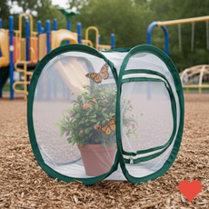 나비 곤충 채집 키우기 관찰망 소 채집통 채집망, 상세페이지 참조, 상세페이지 참조