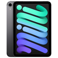 Apple 아이패드 mini, 스페이스 그레이, 256GB, Wi-Fi+Cellular