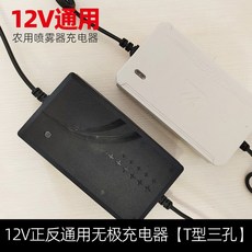 10A 인산철 충전기 주행충전기 120W 21V 차량 파워뱅크 충전 시거잭 파워 주행, 12V 양극 및 음극 공통 무극 충전기 T형 3구