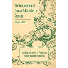 (영문도서) The Compendium of Currant and Gooseberry Growing - Including Information on Propagation Plan... Paperback, Macritchie Press, English, 9781446538432