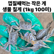 순천만 자연산 칠게 꽃게 미니 게튀김 작은게조림, 1세트, 생물 칠게 3kg (300미내외)