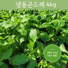 냉동 곤드레 4kg여리고 맛이좋은 산지직송 영월곤드레, 4kg, 1개