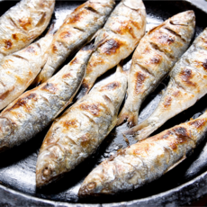 [산지직송] 남해 자연산 햇전어 생물 1kg 구이용 전어 싱싱한 제철 생선 (급냉), 1개