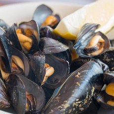 국내산 생홍합 생물 해감 손질 홍합, 1세트, 5kg