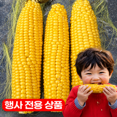 [농장직송] 햇 초당옥수수 특품 행사전용상품, 1박스, 20개 (중품, 8~14cm 내외)