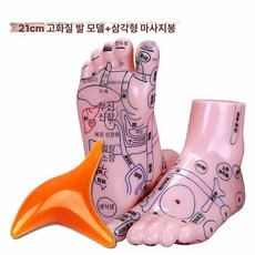 한의원 발 15cm 리플렉솔로지 모형 혈자리 실습 경혈위치 20cm 제품 마네킹 훈련, 10.21CM 발 모형+가슴 마사지 스틱